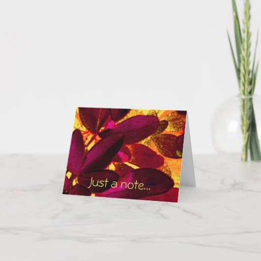 Carte de notes Choisya Autumn 'Just a note' (Devant)