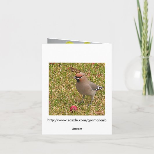 Carte de notes concernant les jonquilles et les oi (Dos)