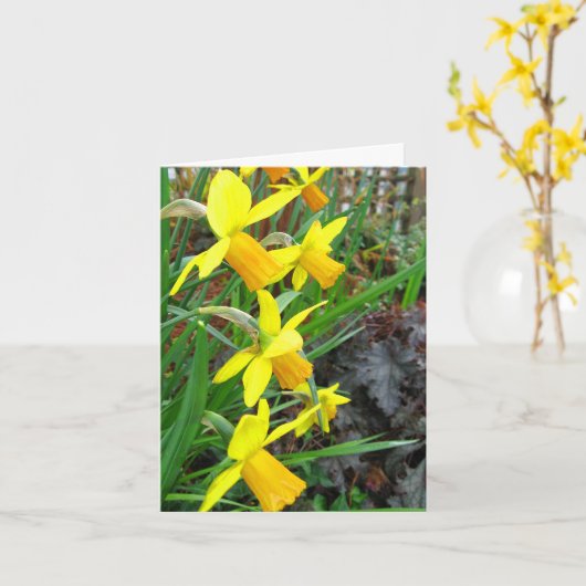 Carte de notes concernant les jonquilles et les oi (Fleur jaune)