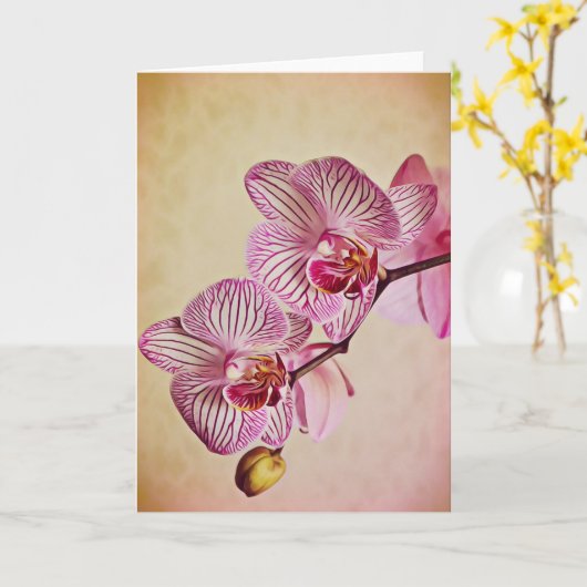 Carte de notes d'art pour orchidées roses et créme (Fleur jaune)