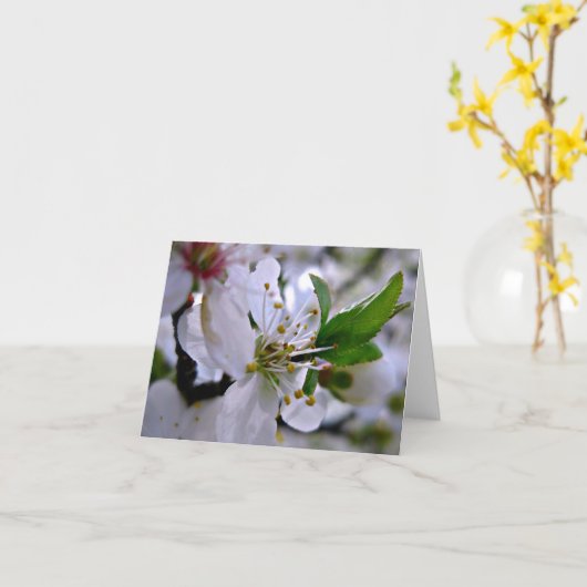 Carte de notes en fleurs de cerisier blanc (Fleur jaune)