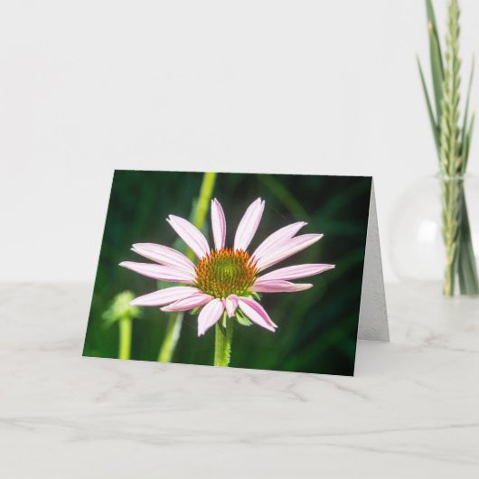 Carte de notes en fleurs roses délicates (Devant)