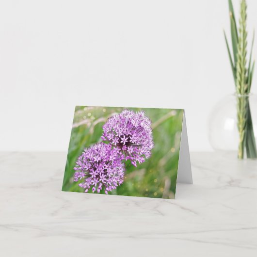 Carte de notes Magical Alliums (Devant)