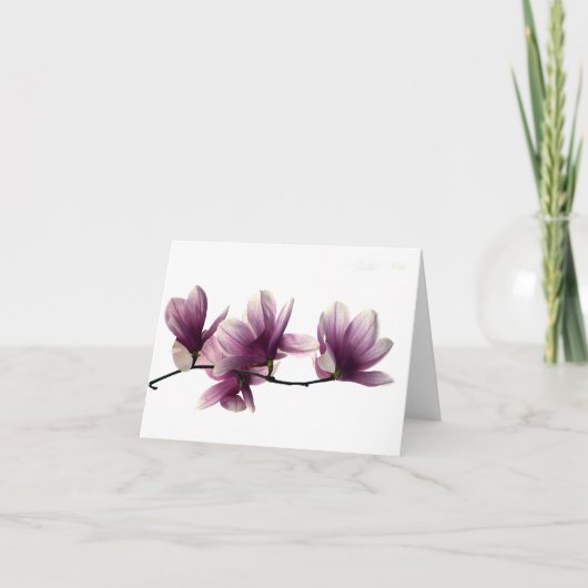 Carte de notes Magnolia Blossoms (Devant)