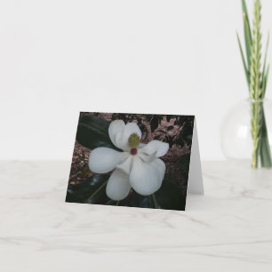 Carte de notes pliées de photos de Magnolia