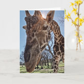 Carte de notes pour l'envoi de pensées de Giraffe  (Fleur jaune)