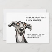 Carte de notification de déménagement pour Whippet (Devant)