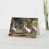 Carte De Nous À Vous - Sortir (Devant)