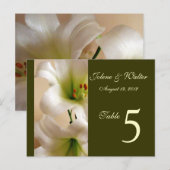 Carte de numéro de table blanche (Devant / Derrière)