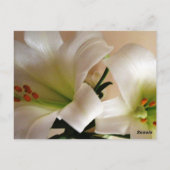 Carte de numéro de table blanche (Dos)