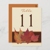 Carte de numéro de table Brown Orange Ivory Dried  (Devant / Derrière)