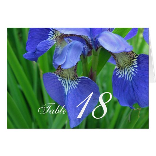 Carte de numéro de table de dîner de fleur d'iris (Devant horizontal)