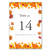 Carte de numéro de table de mariage aux feuilles d (Dos)