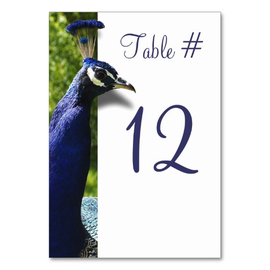 Carte de numéro de table de Mariage Peacock élégan (Par défaut)