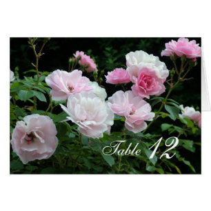 Carte de numéro de table des fleurs roses roses.