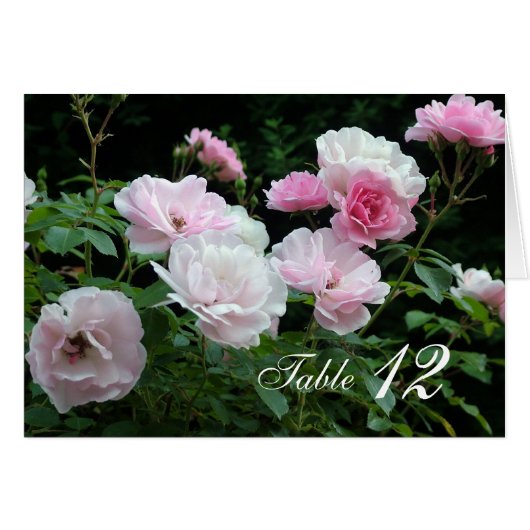 Carte de numéro de table des fleurs roses roses. (Devant Horizontal)