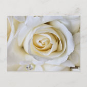 Carte de numéro de table des Roses Mariages blancs (Dos)
