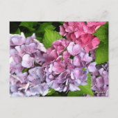 Carte de numéro de table Purple Hydrangea (Dos)