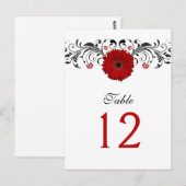 Carte de numéro de table Red Gerbera Daisy (Devant / Derrière)