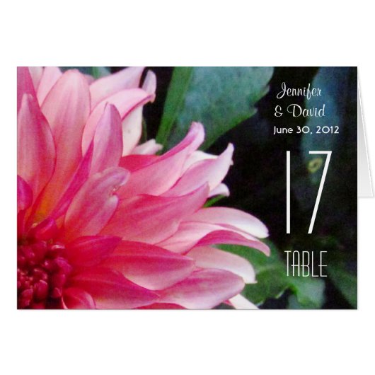 Carte de numéro de table rose Dahlia (Devant Horizontal)