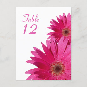 Carte de numéro de table rose Gerbera Daisy