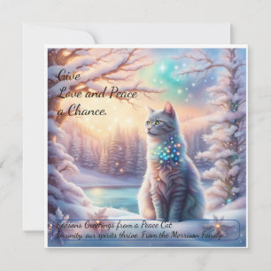 Carte de Paix Mondiale : Donnez une chance à l'amo