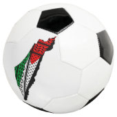 Carte de Palestine avec drapeau et Motif Keffiyeg (3/4)