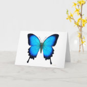 Carte de papillon de Papilio Ulysse (Fleur jaune)