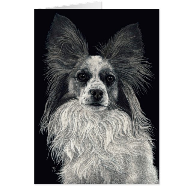 Carte de Papillon - "étincelles " (Devant)