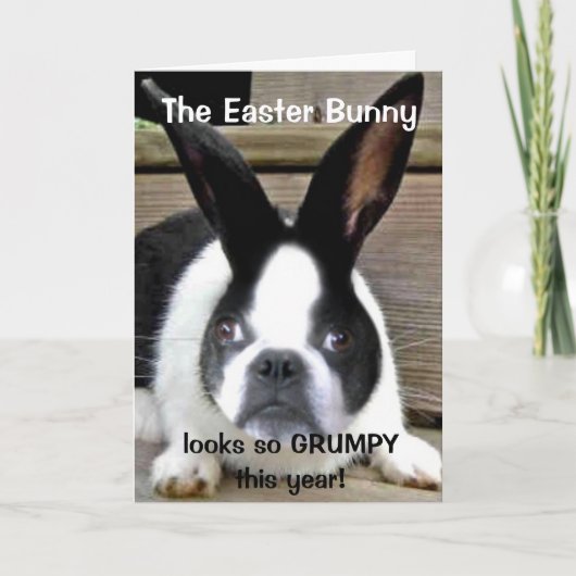 Carte de Pâques 2011 de Shorty (Devant)