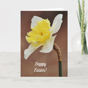 Carte de Pâques à la jonquille en fleurs