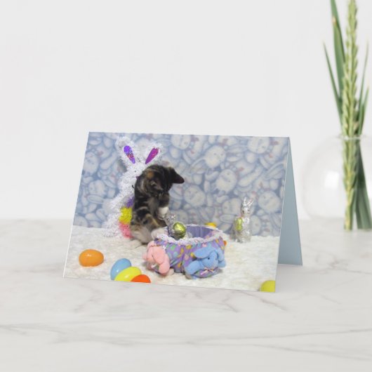 Carte de Pâques Bandit - Chat / Kitten Pic (Devant)