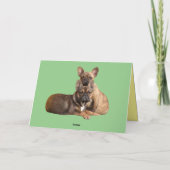 Carte de Pâques Bouledogue Français (Dos)
