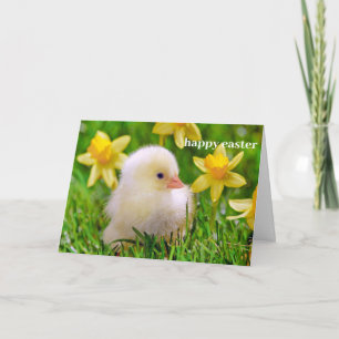 Carte de Pâques - Canards dans un champ de jonquil
