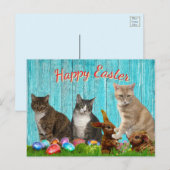 Carte de Pâques - Chats et Lapins (Devant / Derrière)