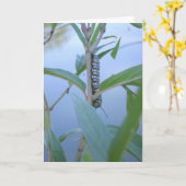 Carte de Pâques "Chenille monarque #1" (Fleur jaune)