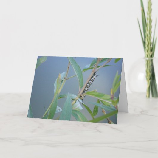 Carte de Pâques "Chenille monarque #2" (Devant)