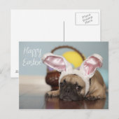 Carte de Pâques de bouledogue français ! (Devant / Derrière)