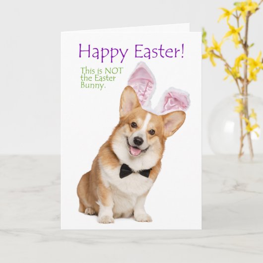 Carte de Pâques de Funny Corgi (Fleur jaune)
