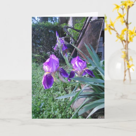 Carte de Pâques de "Purple Iris" (Fleur jaune)