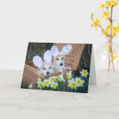 Carte de Pâques Deux Corgis dans un panier (Fleur jaune)