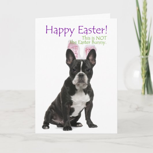Carte de Pâques drôle de Boston Terrier (Devant)