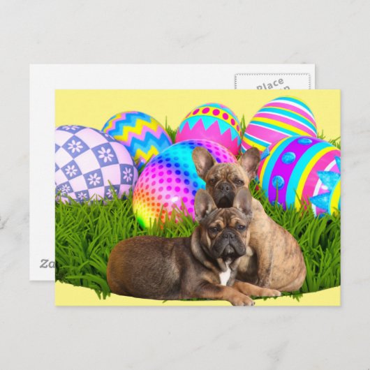Carte de Pâques du bouledogue français (Devant / Derrière)
