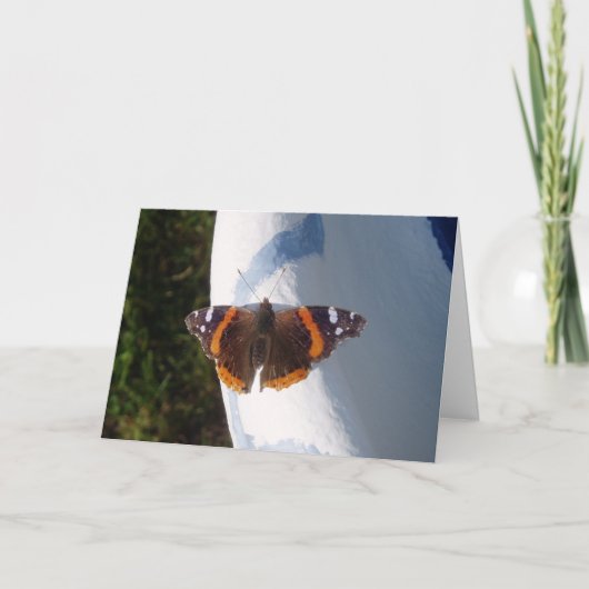 Carte de Pâques "Ernie le Papillon" (Devant)