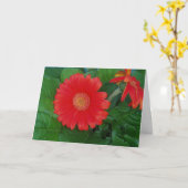 Carte de Pâques "Gerbera Daisy" (Fleur jaune)