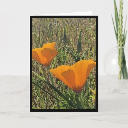 Carte de Pâques Golden Poppies 3 (Devant)