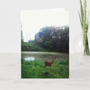 Carte de Pâques "Lake Alimagnet Deer"