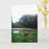 Carte de Pâques "Lake Alimagnet Deer" (Fleur jaune)