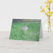 Carte de Pâques "Lapin #1" (Fleur jaune)