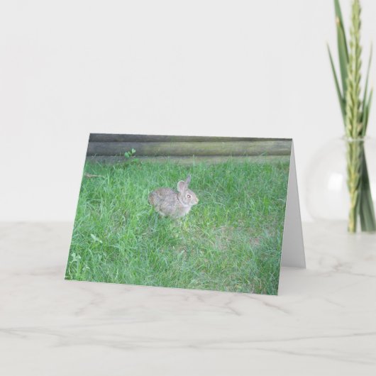 Carte de Pâques "Lapin #1" (Devant)
